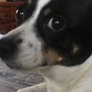 Meet your Posher, Jeff